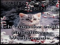 Guten Morgen ihr Lieben