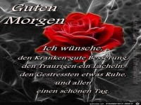 Guten Morgen