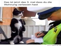 das ist jetzt das 3. mal