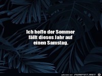 Sommer am Samstag