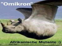 Afrikanische Mutation
