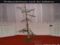 Hübscher Weihnachtsbaum