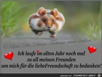 liebe Freunde