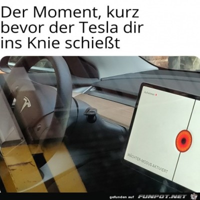 Der-Tesla.jpg von Pina