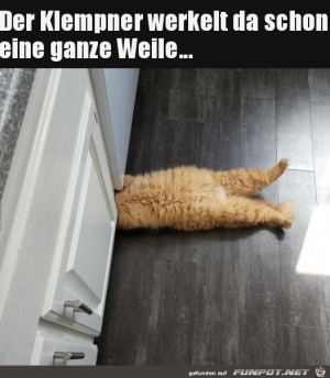Der-Handwerker-arbeitet-dran.jpg auf www.funpot.net