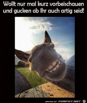 Nur-mal-vorbeischauen.jpg auf www.funpot.net