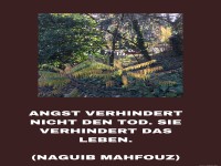 Angst verhindert nicht