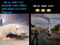 Einhorn-Vergleich 2015 vs 2025