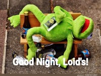 Kermit nach einer wilden Party auf der Bank