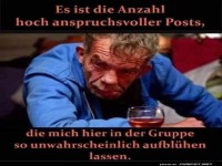 Sarkastischer Kommentar zu anspruchsvollen Posts