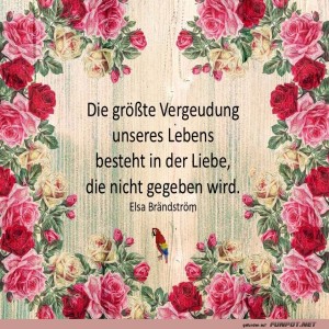 Die-grte-Vergeudung.jpg von Sirene