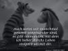 weiter
