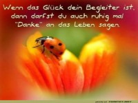 Der Kfer, der fr Glck und Lcheln sorgt