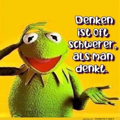 Denken-ist-Kermit's-schwerste-Übung!.jpg von Cecilia