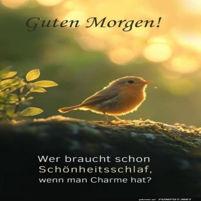 Morgenzauber:-Der-fr&uuml;he-Vogel-gl&auml;nzt!.jpg von Leonora64