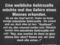 Einzelne Zelle auf Abenteuerreise!