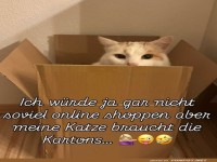 Bestellwahn f�r die Katz!