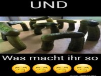Gurkenhenge: Das neue Freizeit-Event!