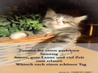 Ein perfekter Sonntag