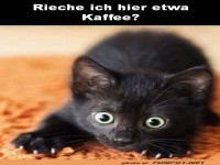 Es riecht nach Kaffee
