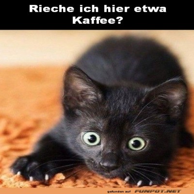Es-riecht-nach-Kaffee.jpg von Sahneschnitte