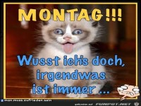 Montag