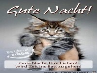 gute Nacht