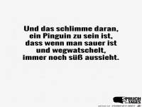 ein-pinguin-zu-sein
