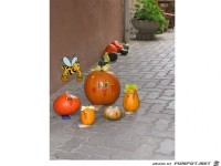 Dekorationen fuer den Herbst