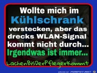 Wollte mich im K�hlschrank verstecken...