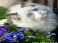 Ist die nicht herzig