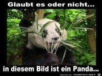 Ich glaube das nicht