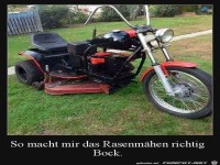 Rasenmhen mal anders