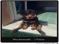 Wochenende..