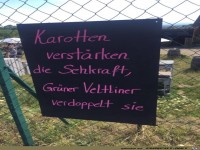 Karotten sind gut f�r die Augen