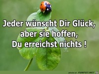 Jeder wuescht Dir Glueck