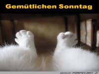 Sonntag
