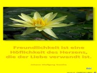 Freundlichkeit ist