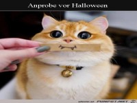 Probe f�r Halloween
