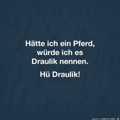 Draulik.jpg von Alina