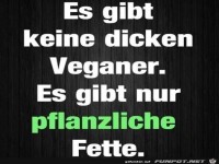 Pflanzliche Fette