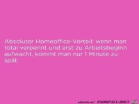 Homeoffice-Vorteil