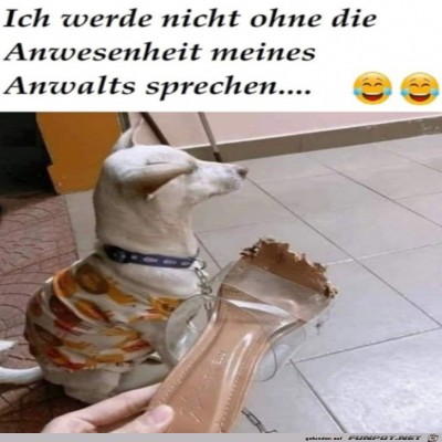 Ohne-meinen-Anwalt-sag-ich-nichts.jpg von Pina