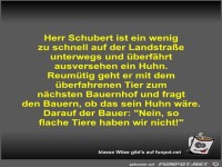 Herr Schubert ist ein wenig zu schnell auf der Landstrae...