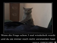 Nix verstanden