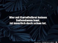 Ein So�endamm