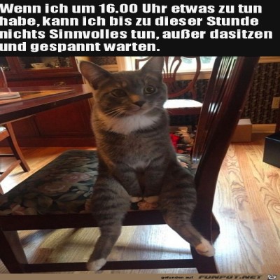 Sitzen-und-abwarten.jpg von Theda