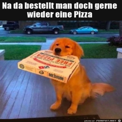 Tierischer-Pizzalieferant.jpg von Finnja