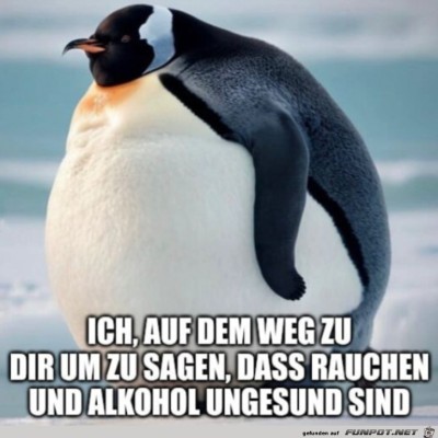 Wer-im-Glashaus-sitzt.jpg von Alessia