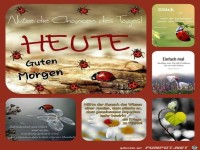 Nutze die Chancen des Tages